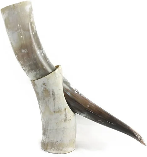 16 inches fully white African ox horn