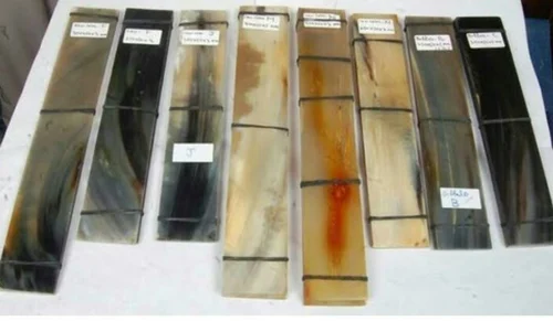 Buffalo Horn Plates For Optical Frame ox horn plate